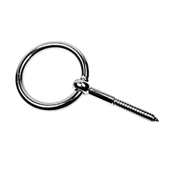 Lag Screw w/ Ring - Stainless Steel Type 304 - 1/2" x 4"