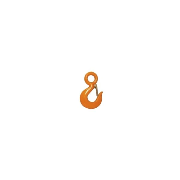 Carbon Eye Hoist Hook w/ Latch - 10 Ton