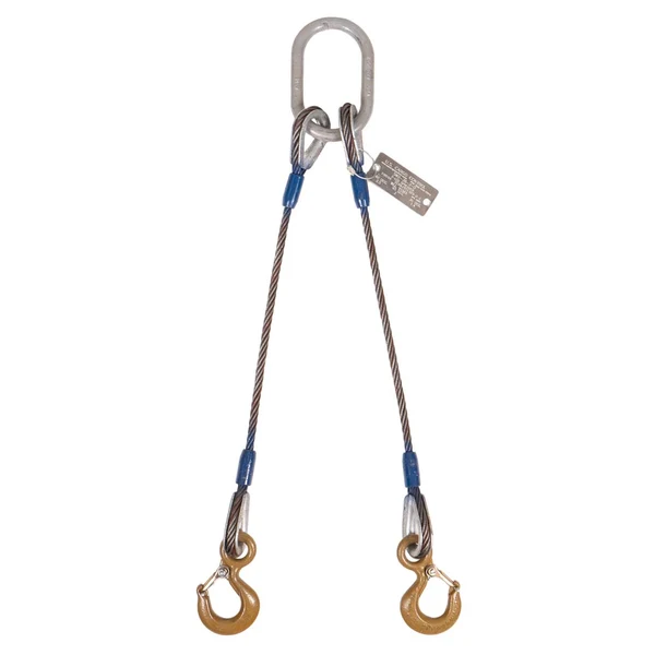 7/8" x 5' 2-Leg Wire Rope Bridle Sling with Crosby Eye Hooks | Domestic